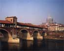 Pavia